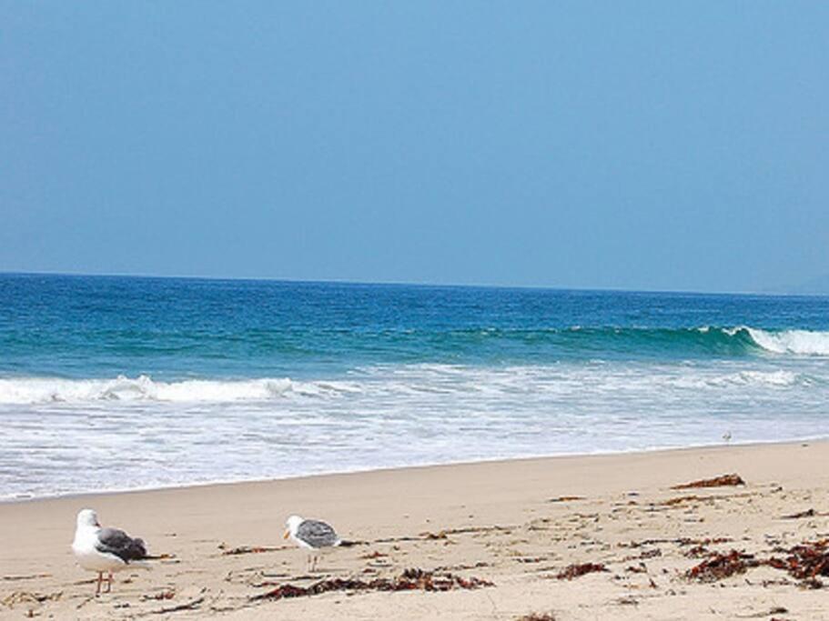 30 Pct Off!! Limited Time! Malibu Charming Getaway With King Bed, Near Beach Exterior foto