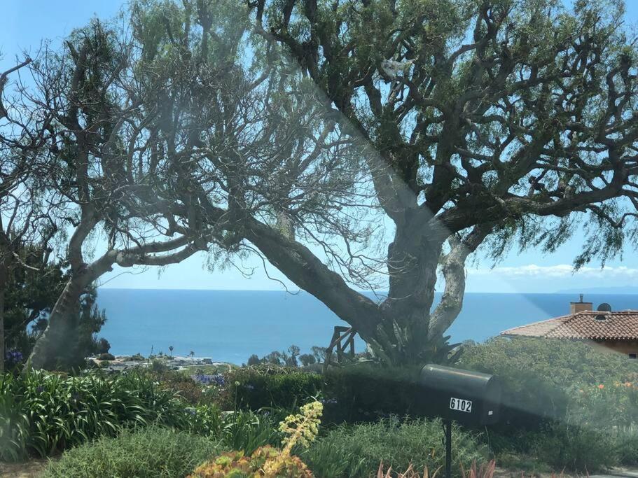 30 Pct Off!! Limited Time! Malibu Charming Getaway With King Bed, Near Beach Exterior foto