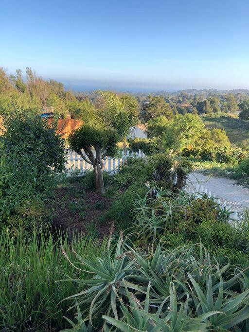 30 Pct Off!! Limited Time! Malibu Charming Getaway With King Bed, Near Beach Exterior foto